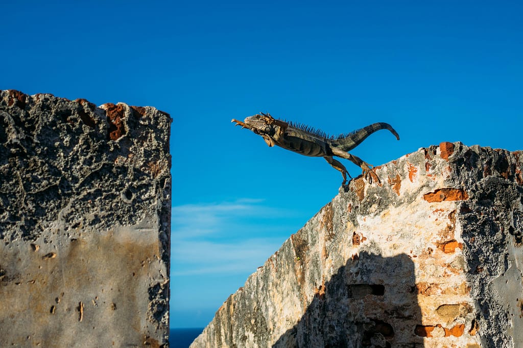 Rebuilding Self-trust and Intuition