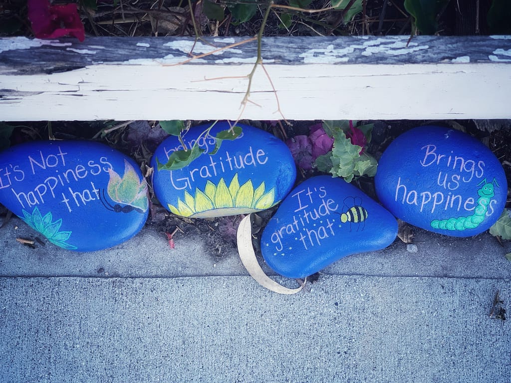 Embracing Gratitude and Appreciation