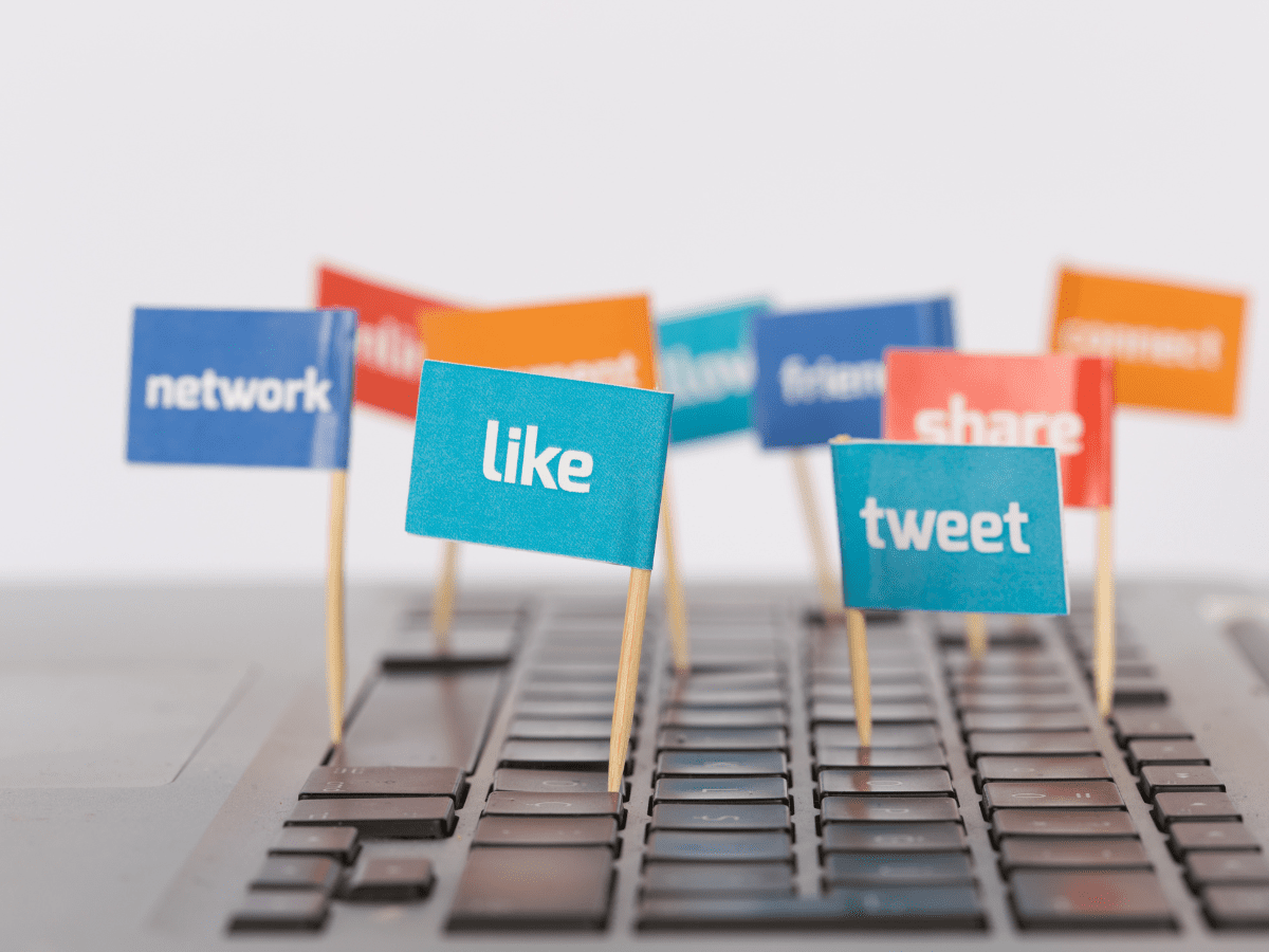 Social Media Platform icon