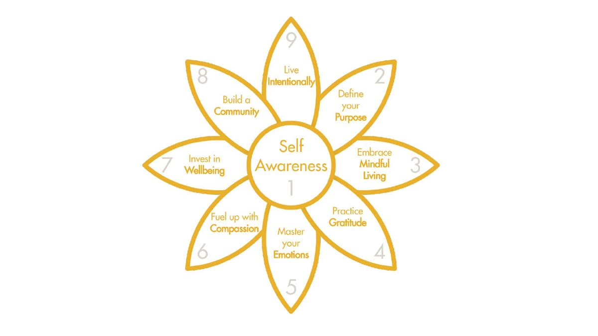The Sunflower Model: rewiring the individual
