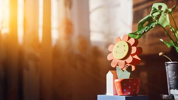 Smiling flower pot in sunlight.