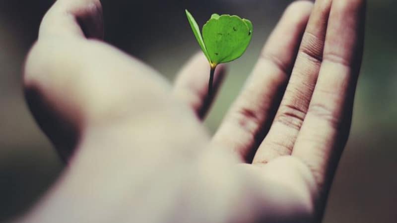 The Power of Purpose-Driven Organizations