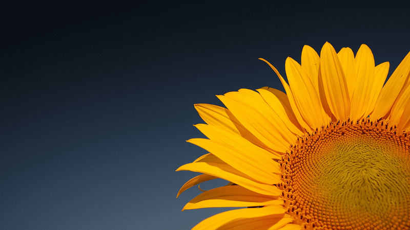 Building Happy Habits for Long-term Joy with Ashish Kothari