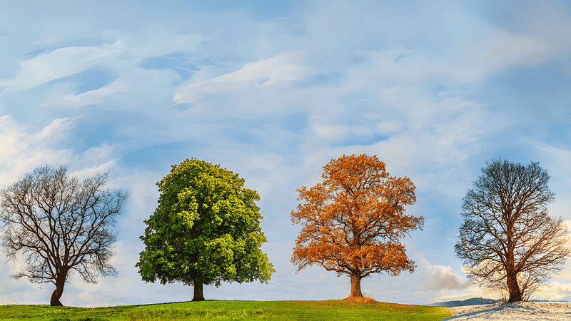 How Leaders Embrace Change and Create New Realities