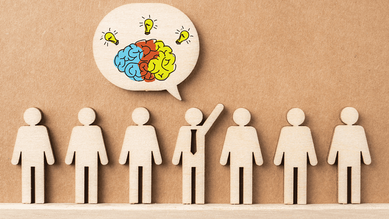 THS Blog Image The Role of Brain Science in Building Inclusive Teams with Shannon Murphy