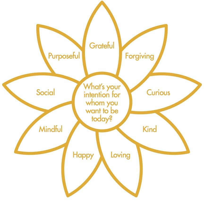 The 3 Pillars of Mindfulness